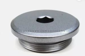 Gyujtás dekli csavar (OEM) LT-Z400